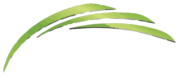 Skilled Solutions